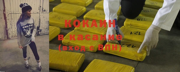 шишки Алзамай