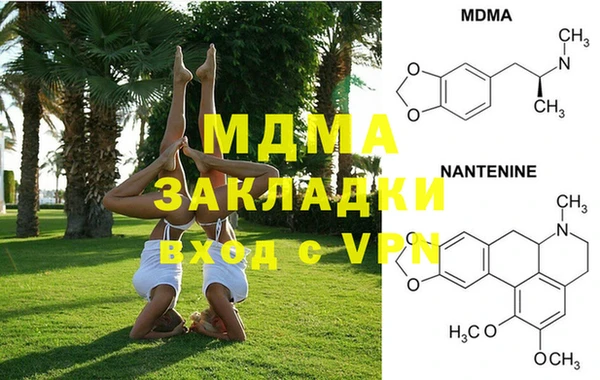 шишки Алзамай